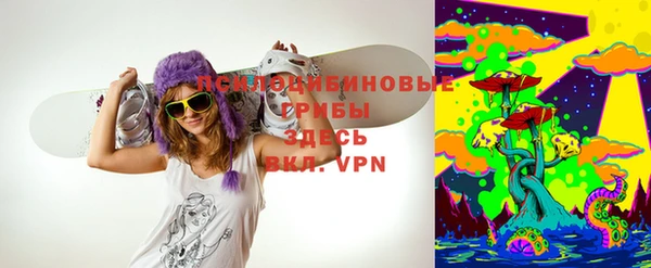 прущие крисы Абаза