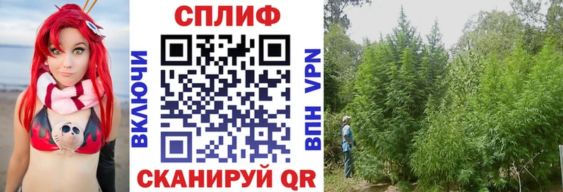 Каннабис план  цена наркотик  Красновишерск 